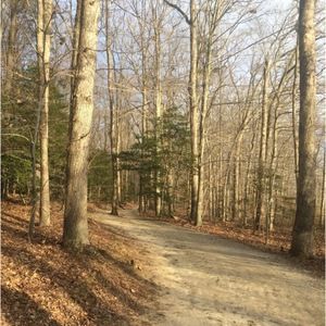 Meet your Posher, Gina